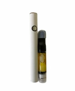 DMT Vape Pen – NN-DMT 1g